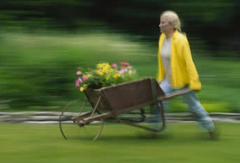 wheelbarrow-girl.jpg