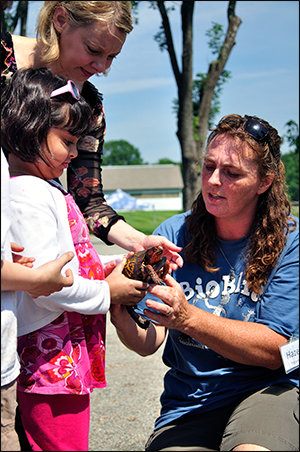 Hazel England teaches a young girl how to hold an Eastern box turtle (Terrapene carolina carolina). Credit: GSWA/S. Reynolds