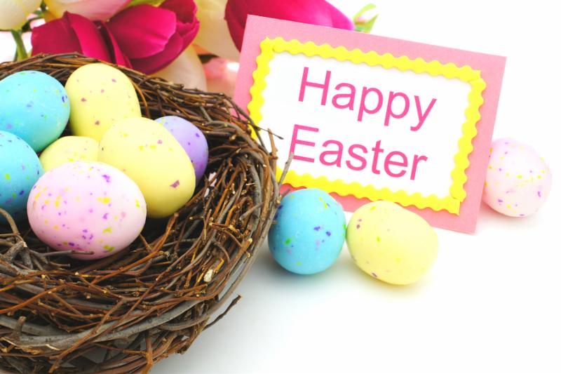 Happy Easter tag, springtime nest with eggs and flowers over white