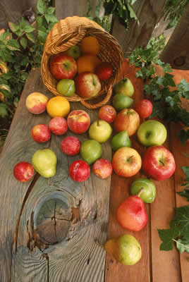 fruit-basket.jpg