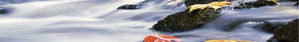 rushing-water.jpg