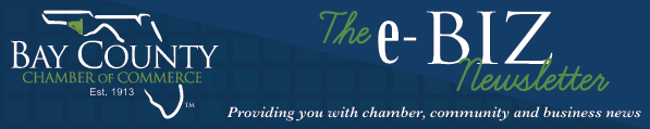 eBIZ newsletter