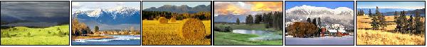 image strip