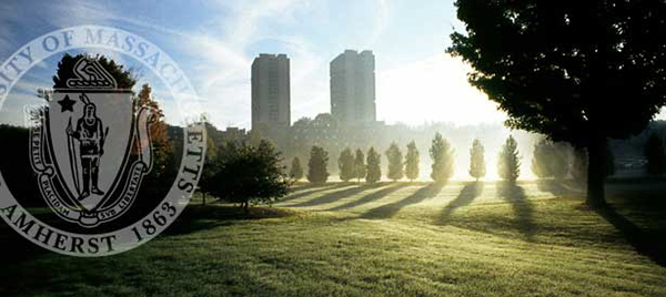 IMPACT Conference logo