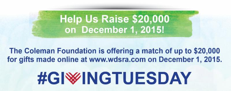 Giving Tuesday graphic