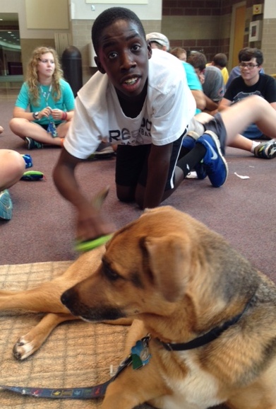 summer camper with Baci