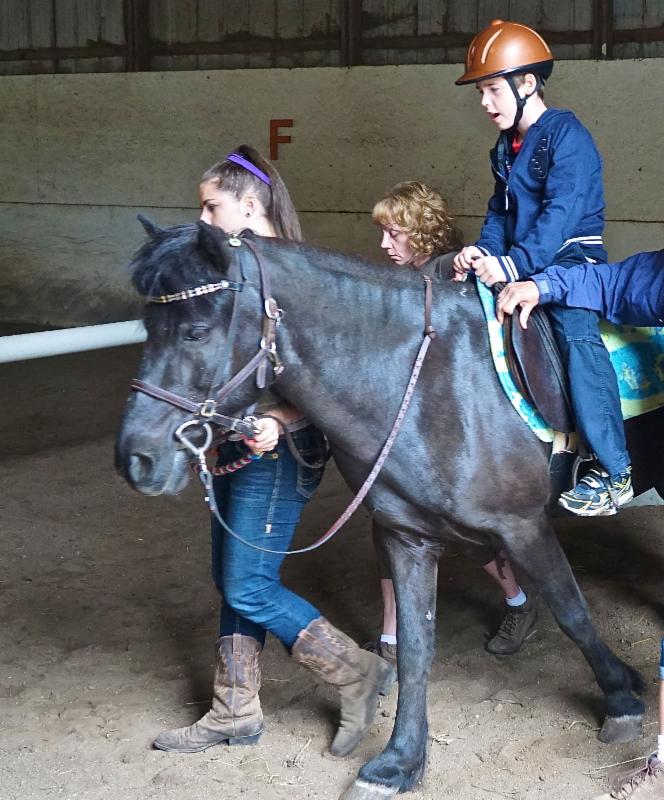 horseback riding lessons