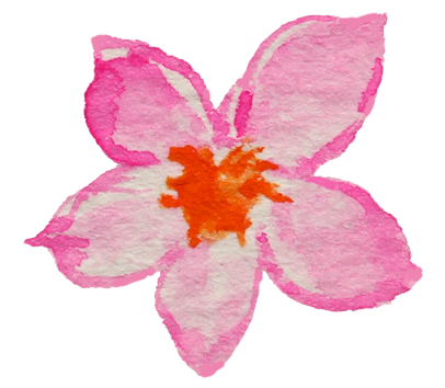 pink flower