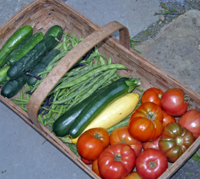 Vegetable harvest with heirlooms