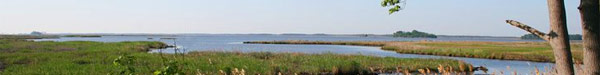 Blackwater NWR