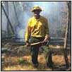 Staff fighting wildfires