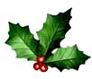 Holly