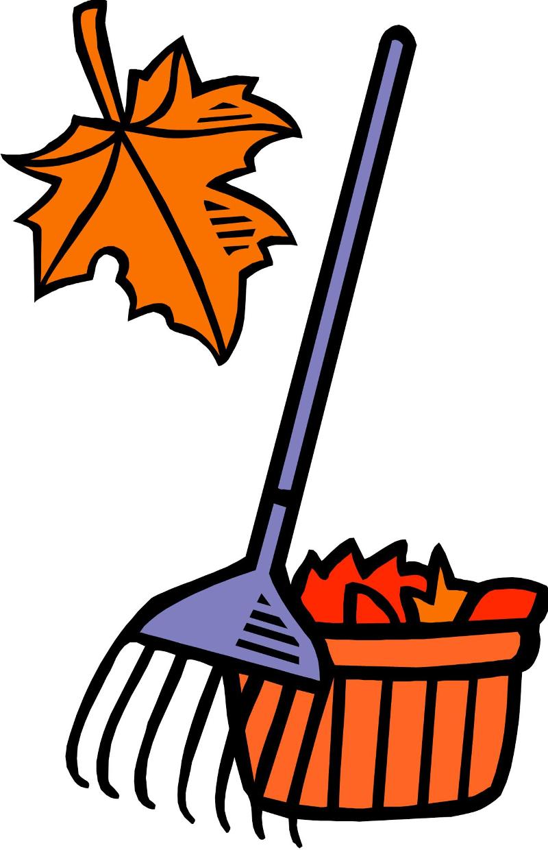 Leaves-Rake