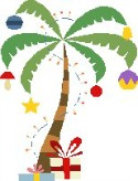 Hawaiian Palm & Presents