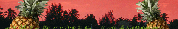 pineapple-header.gif