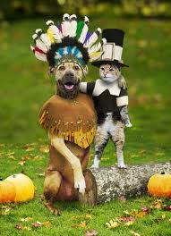 Thanksgiving dog & cat