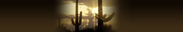 cactus-scene-header.jpg