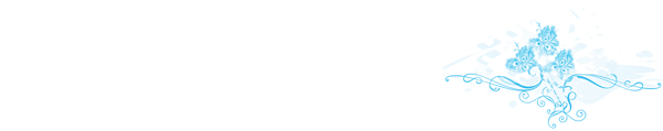 blue-graphic-banner.gif
