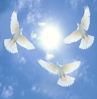 Doves-In Remembrance