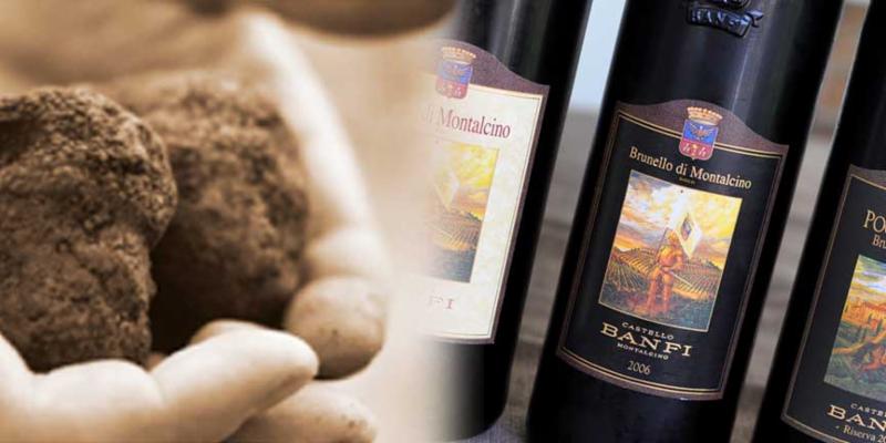 Florida Winefest _ Auction _ 4th Annual Wild Truffle Wine Dinner with special menu by Chef Paul Mattison at Mattison_s Forty-One in Sarasota_ Florida