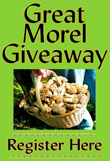 Great Morel Giveaway