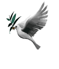 Doves