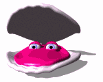 Shell 1
