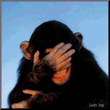 Chimp