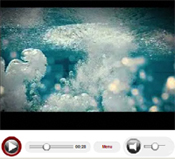 Combat Water Survival