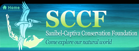 sccf