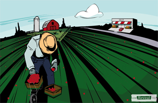 illustration of farmworker