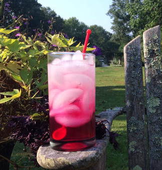 pink drink on the arm of a lawn chair