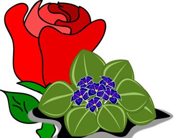 illustration of a rose and violets