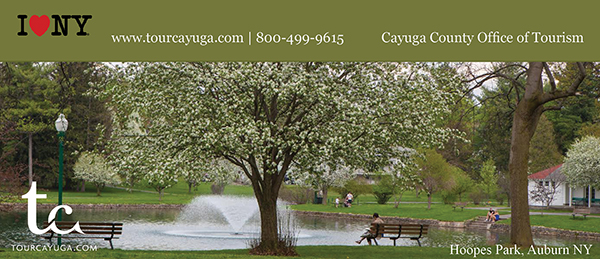 Spring 2015 in Cayuga County
