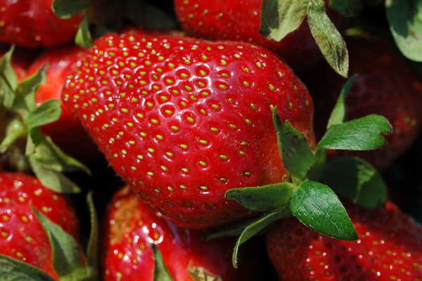Strawberries