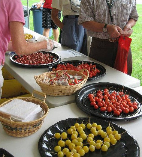 Great Tomato Tasting