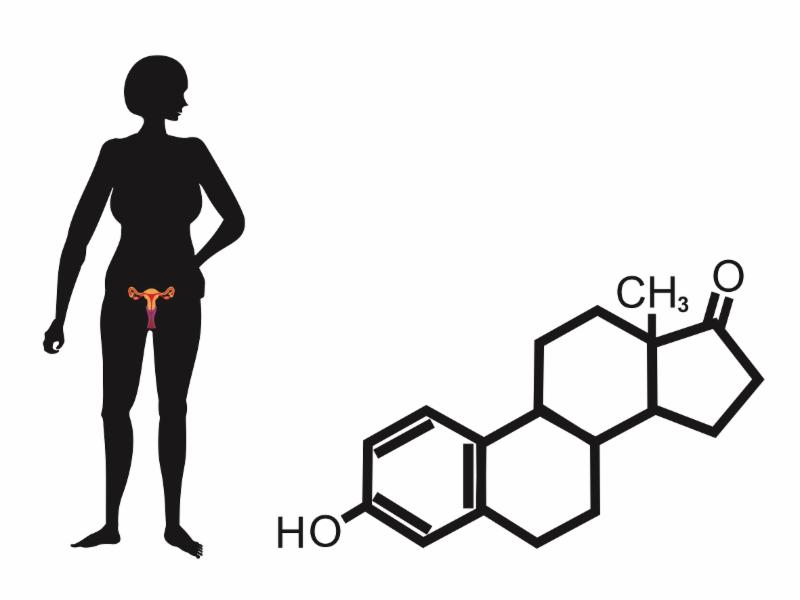 Sex binding protein