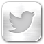 Social Media Twitter