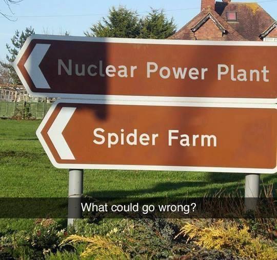 Spider Farm