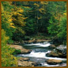 babbling-brook-sm.jpg