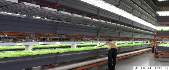 vertical farming