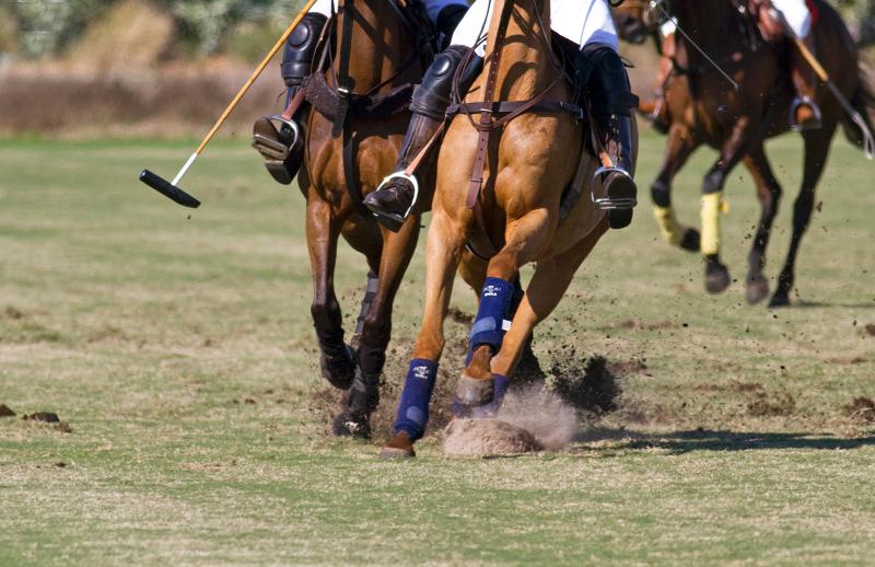 Polo Action SHot