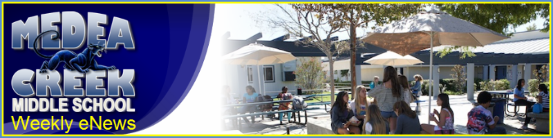 Medea Header Image 2