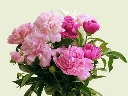 Peony Bouquet