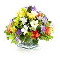 Flower Arrangement