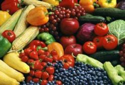 summer food