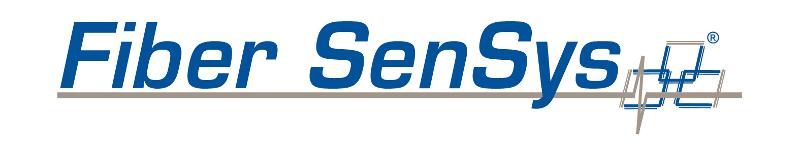 FSI Blue Logo on White