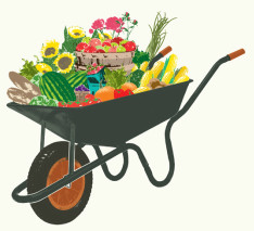 Farmers Market