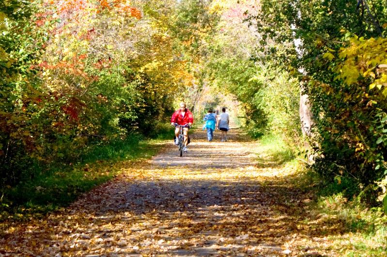 Spring Park  trail in the fall