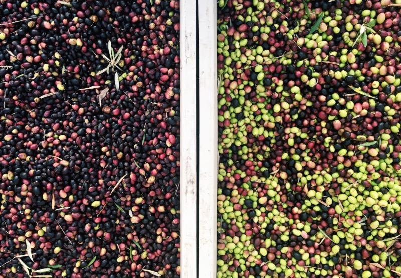 The Olive Press olives